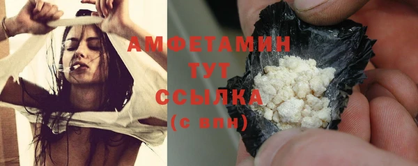 шишки Арсеньев