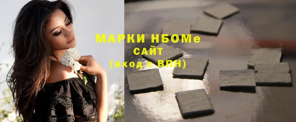 шишки Арсеньев