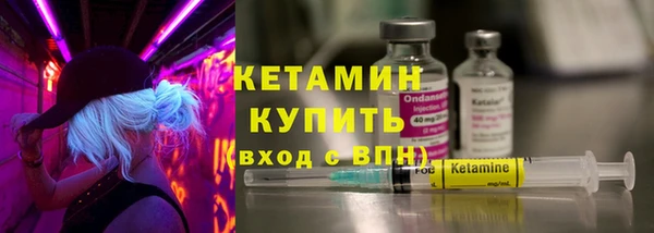 шишки Арсеньев