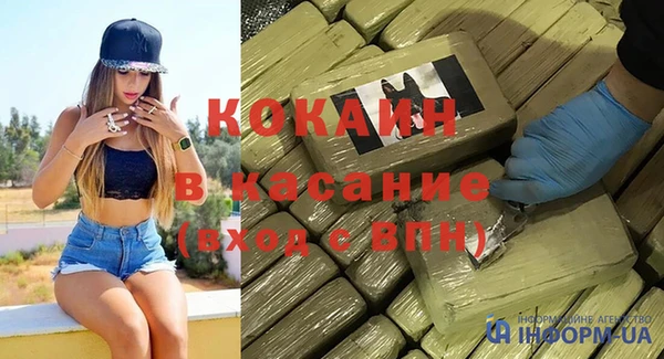 шишки Арсеньев
