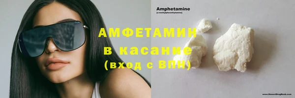 шишки Арсеньев