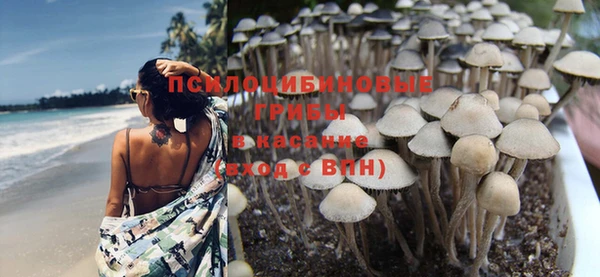 соль курить ск Армянск
