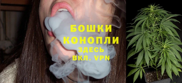 шишки Арсеньев