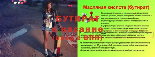 шишки Арсеньев