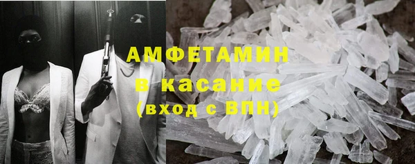 шишки Арсеньев