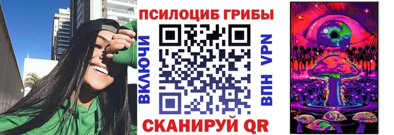 Купить закладки  Елизово  Псилоцибиновые грибы прущие грибы 